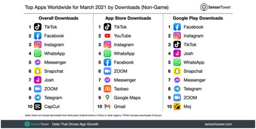 TikTok在2023年的全球用户规模概述