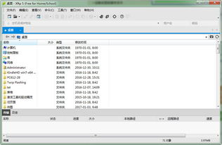 TikTok的崛起与当前用户基础概述