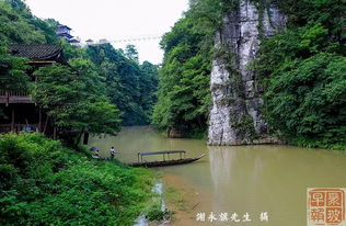 聚水潭平台概述及其核心作用