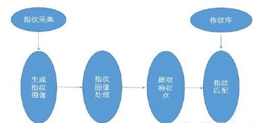 浏览器指纹技术的基本原理与核心功能