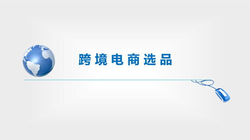 跨境电商平台选品的核心定义