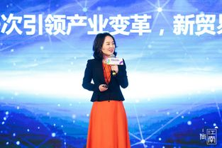 王树彤：从外企精英到跨境电商拓荒者的华丽转身