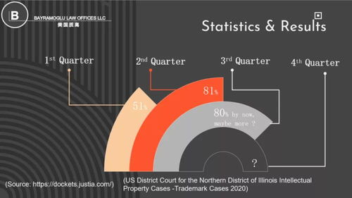 跨境侵权事件的概述