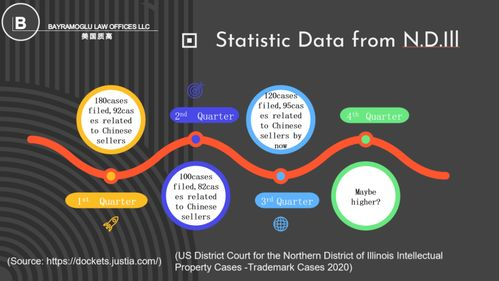 跨境侵权案例概述