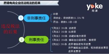 跨境电商税务稽查的基本概念与重要性