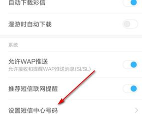 Daraz物流设置的核心：账号配置与基础信息
