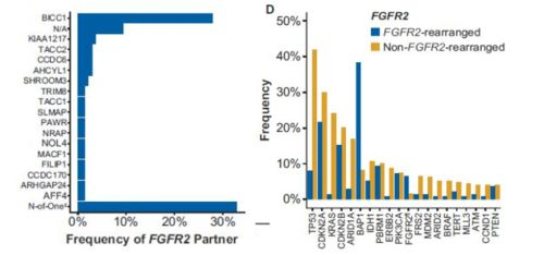 深入解析Daraz平台特性与市场趋势