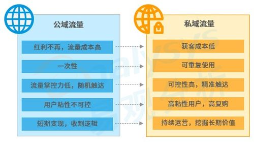 Daraz平台内优化：构筑流量根基