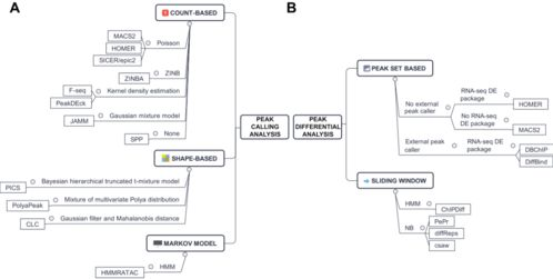 Daraz结算周期基础解析与运作流程