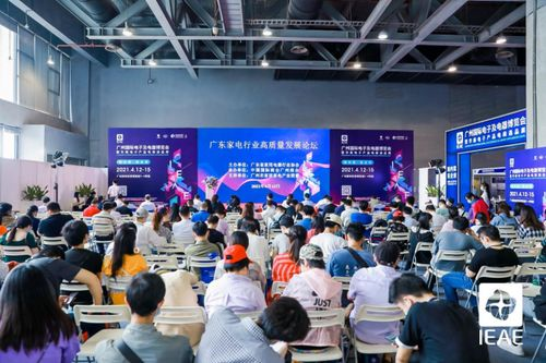 什么是Daraz跨境账号？深度解析其核心概念