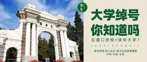 什么是Daraz大学？