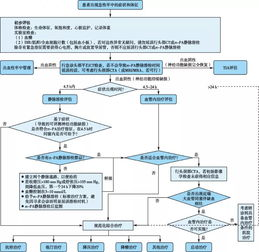 Miravia结算的核心流程与操作指南