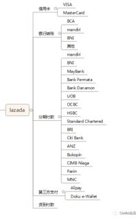 Lazada支付方式概述