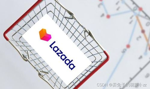 理解Lazada API接口的核心功能与应用价值