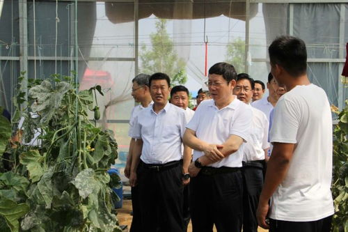 第一季度：开年引爆，奠定全年基础