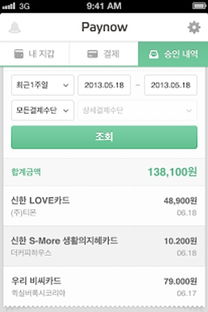 PayNow简介与功能解析