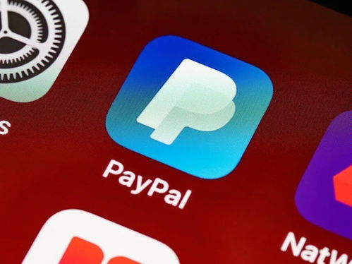 一、 新加坡PayPal的核心功能与个人用户指南