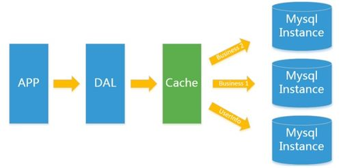 SEO基础与新加坡市场概述