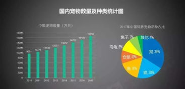 新加坡宠物用品市场特色与消费需求