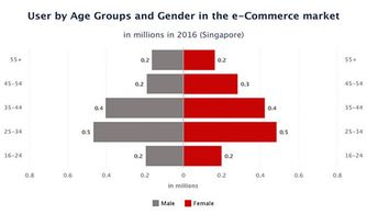 新加坡消费电子市场概述