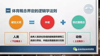 新加坡店铺评分的概述：从基础概念到实际应用