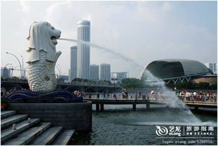 狮城黑色星期五的蜕变与本土特色