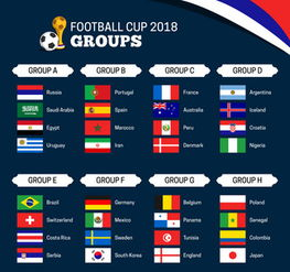 世界杯国旗的市场需求分析：全球球迷热情驱动销售高峰