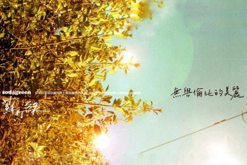 无与伦比的全球影响力与深厚文化底蕴