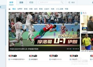 世界杯直播平台的兴起与发展