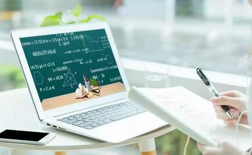 消费习惯的深度重塑与市场教育加速