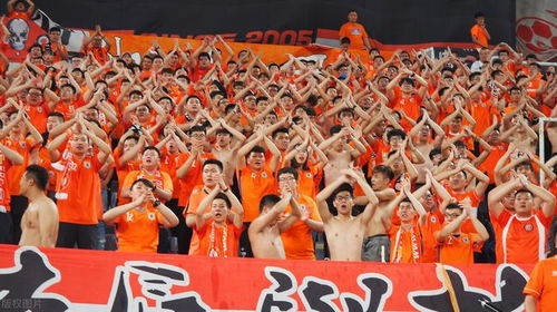 深入理解非赛事期市场特征与球迷消费心理