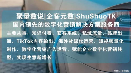 为什么品牌需要专业的出海代运营服务？