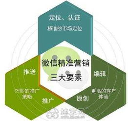 供应链代运营的核心价值：释放企业潜能，专注核心优势