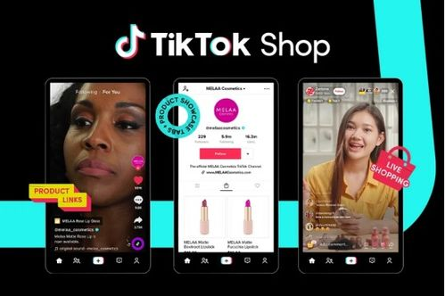 TikTok Shop美国站简介与背景