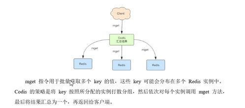 邮箱验证的核心原理与重要性