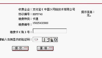 一、 银行账户验证的核心目的与主要类型