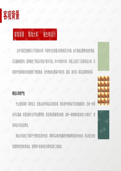 跨境电商创业计划书的核心要素