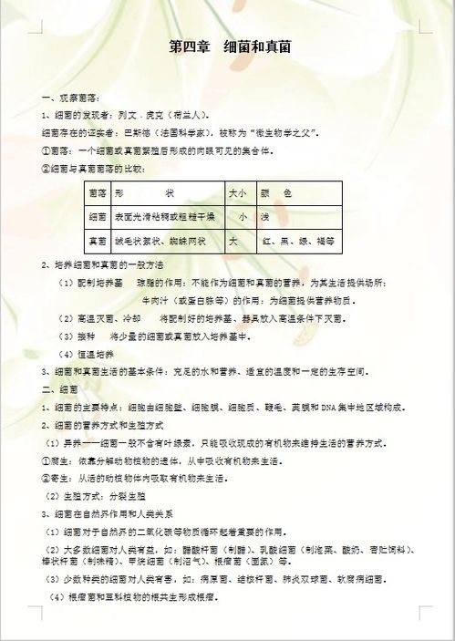 第一阶段：准备阶段 - 知识储备与规划