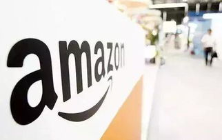 亚马逊运营基础入门教程：全面构建店铺根基