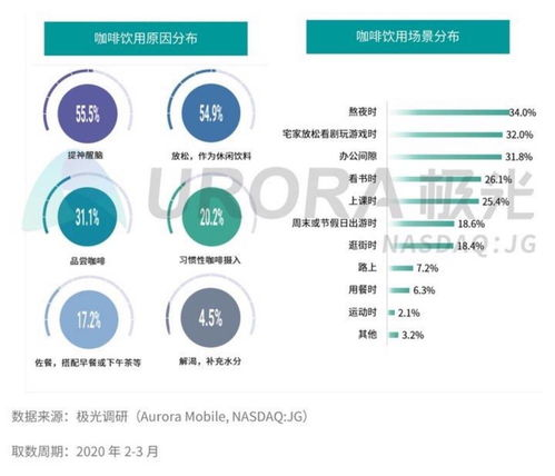 市场洞察与选品利器：奠定成功基石