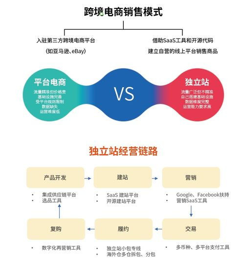 深入理解跨境电商平台规则与运营技巧