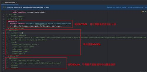 Sora2官方应用概述：功能与特点详解