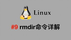 Sora2文字转视频基础操作全解析