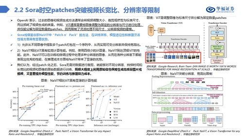 Sora2社群的基本介绍与核心功能
