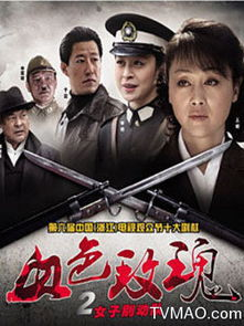 女子别动队电视剧：抗战女性的英勇篇章-剧情解析与角色评析