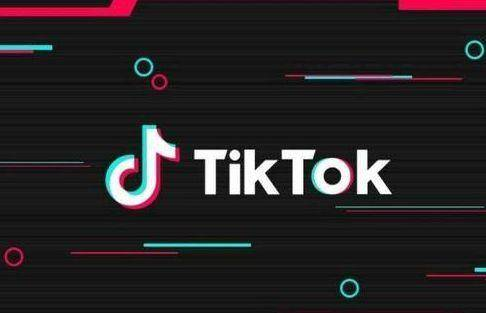 一、TikTok网红数据分析平台的核心功能与价值解析