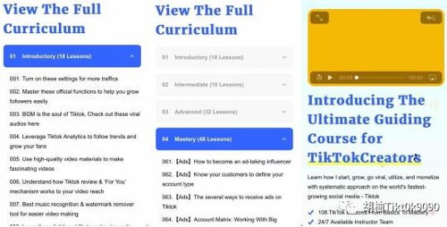 版权基本知识在TikTok的应用