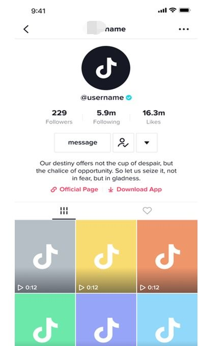 什么是TikTok企业号蓝V认证？