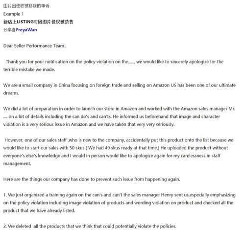 亚马逊产品描述侵权的定义与重要性