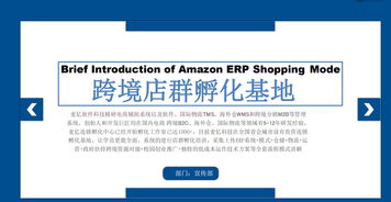 一、 深入理解亚马逊关键词侵权的本质与表现形式